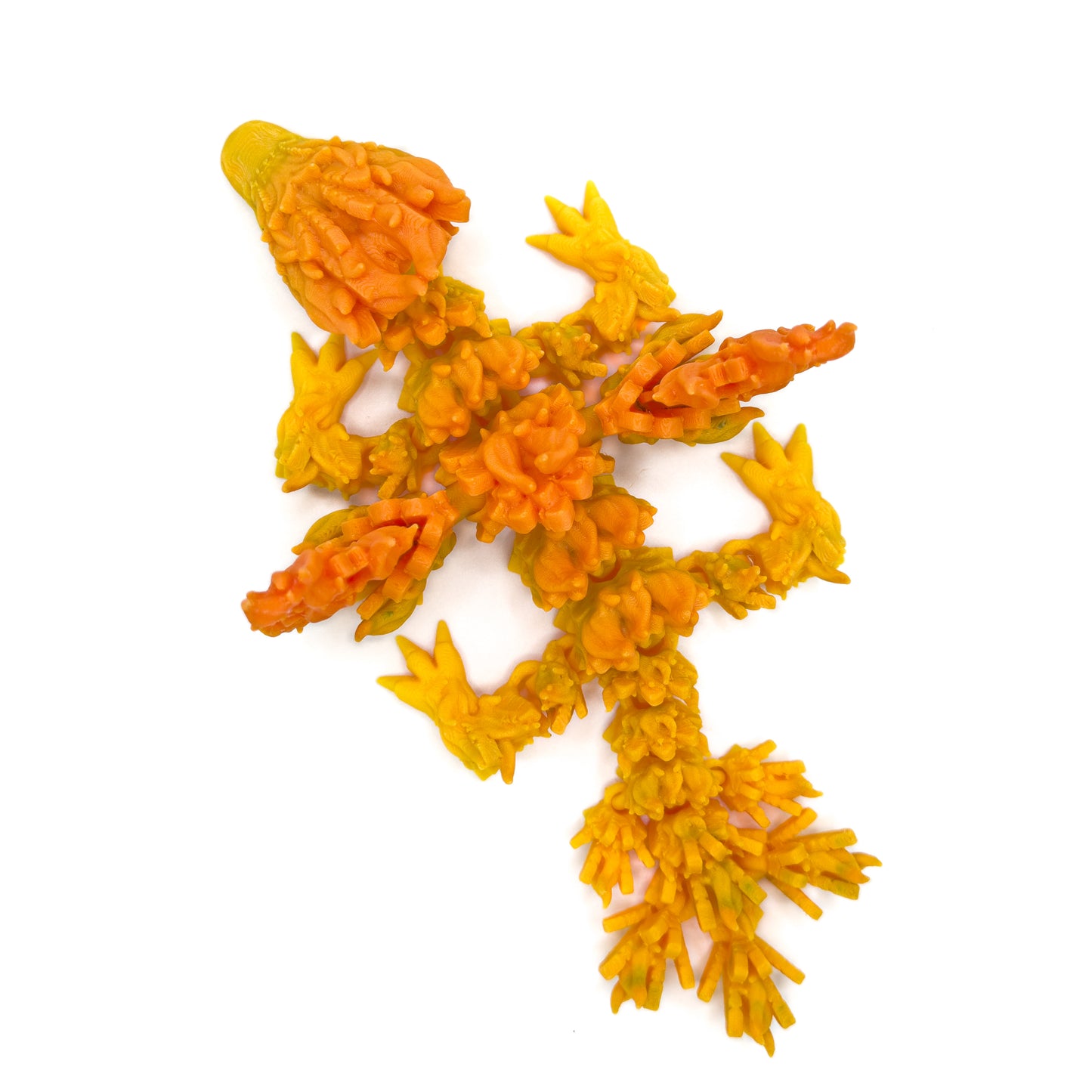 Baby Phoenix Dragon
