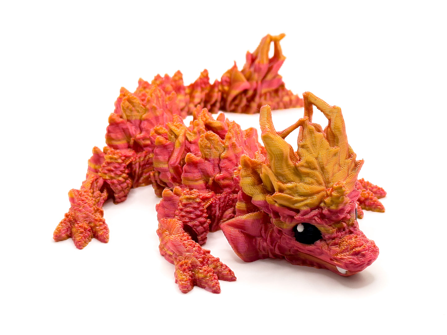Baby Autumn Dragon - Front View