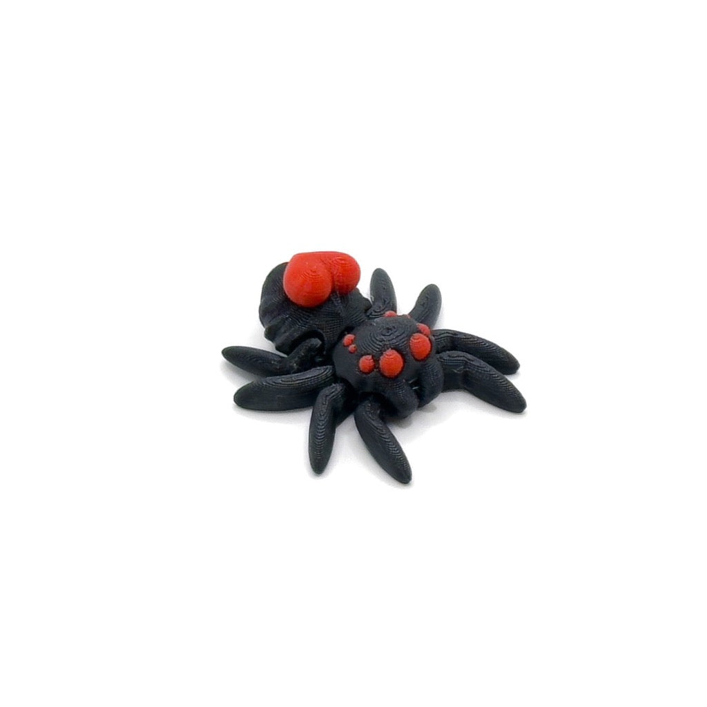 Tiny Heart Spider