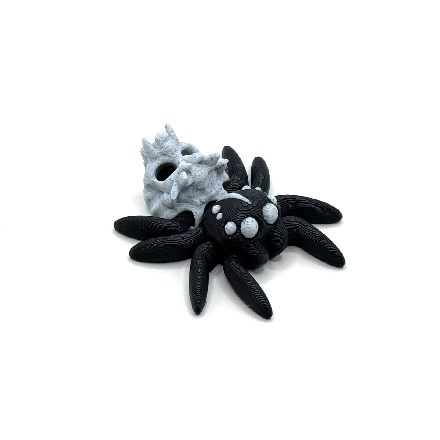 Top-down view of a black spider with white spots and a spiky gray skull attached, positioned on a plain white background.