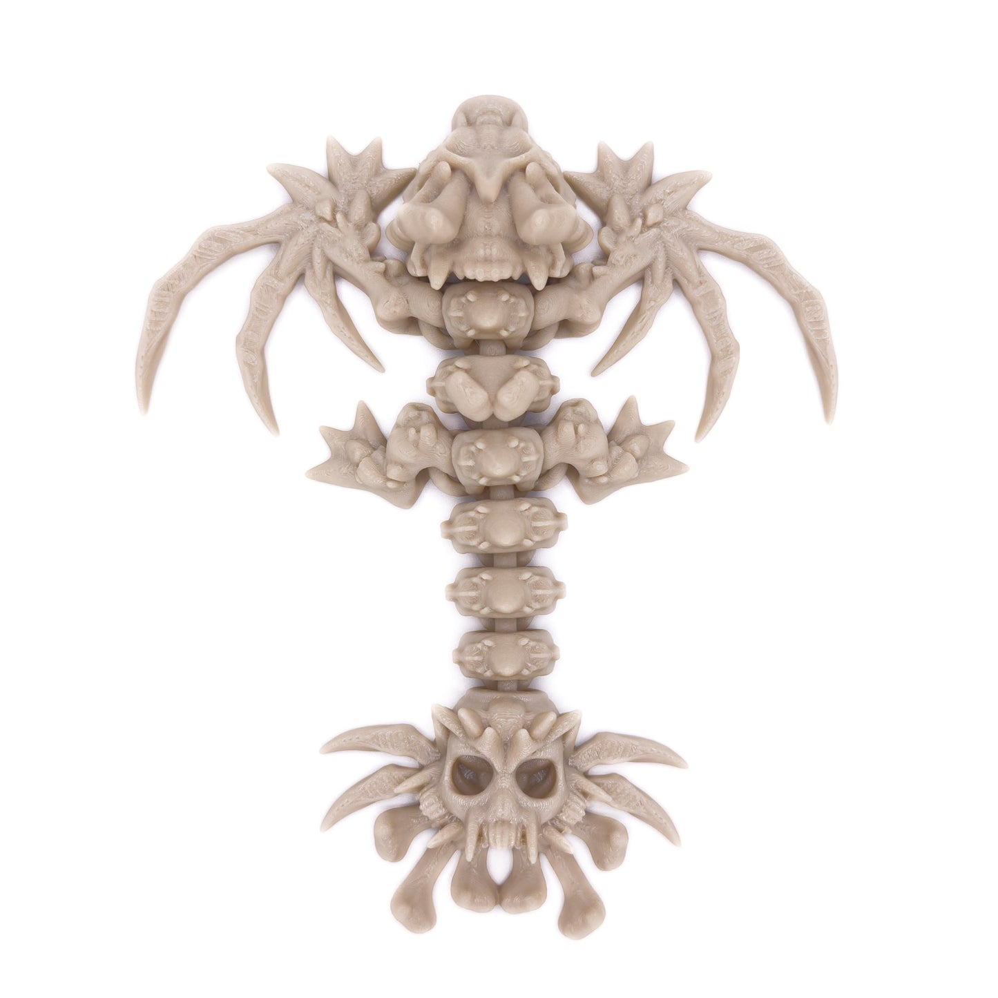 Top-down view of a bone-colored skeletal wyvern figure with large claws and a segmented spine, displayed on a white background.