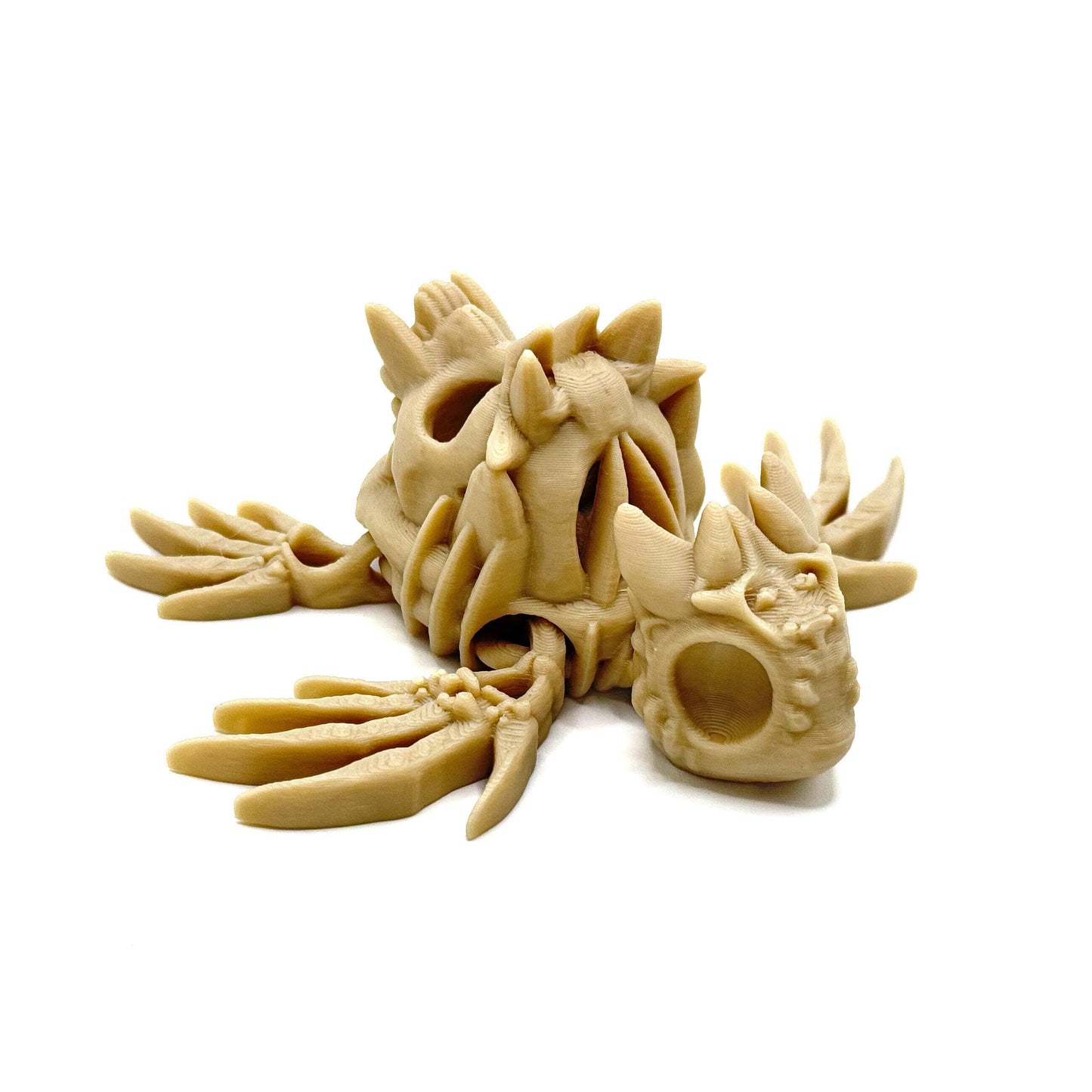 Hollow Turtle - Bone White - Front