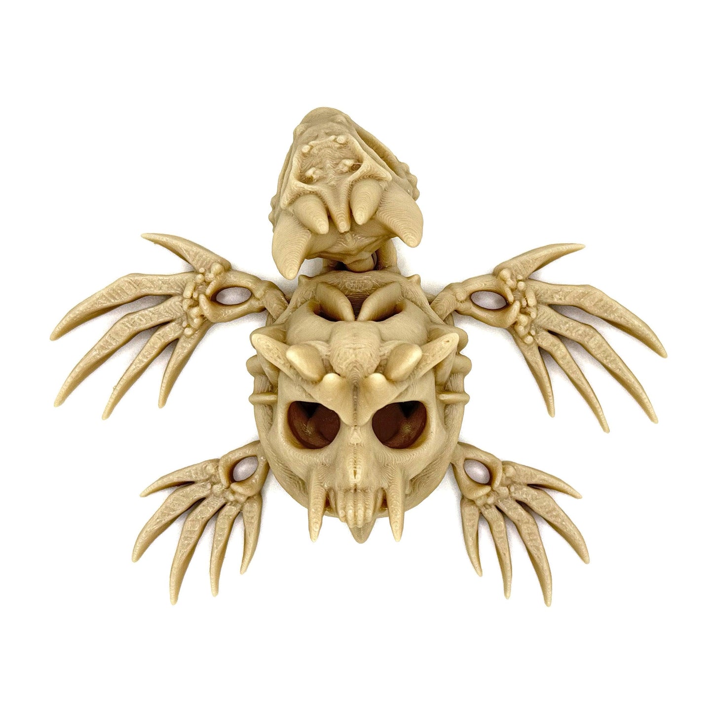 Hollow Turtle - Bone White - Top