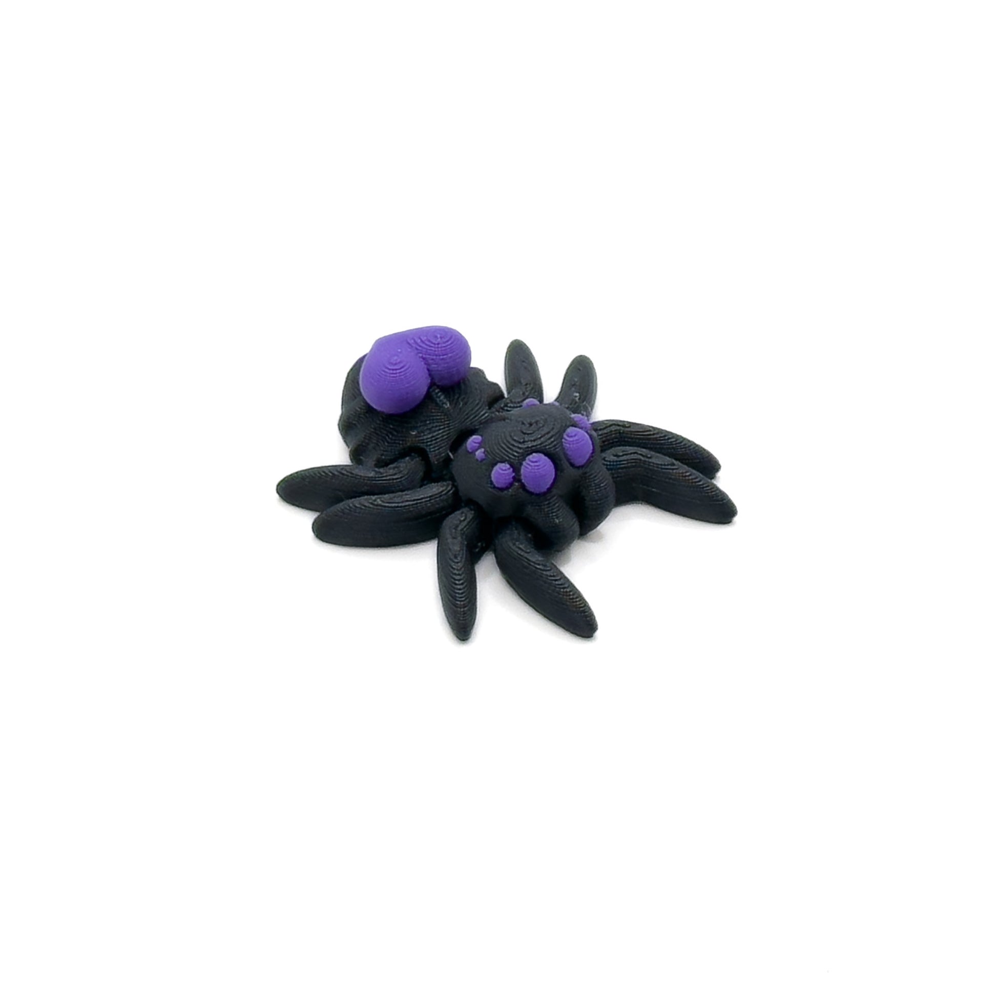 Tiny Heart Spider, Black/Purple