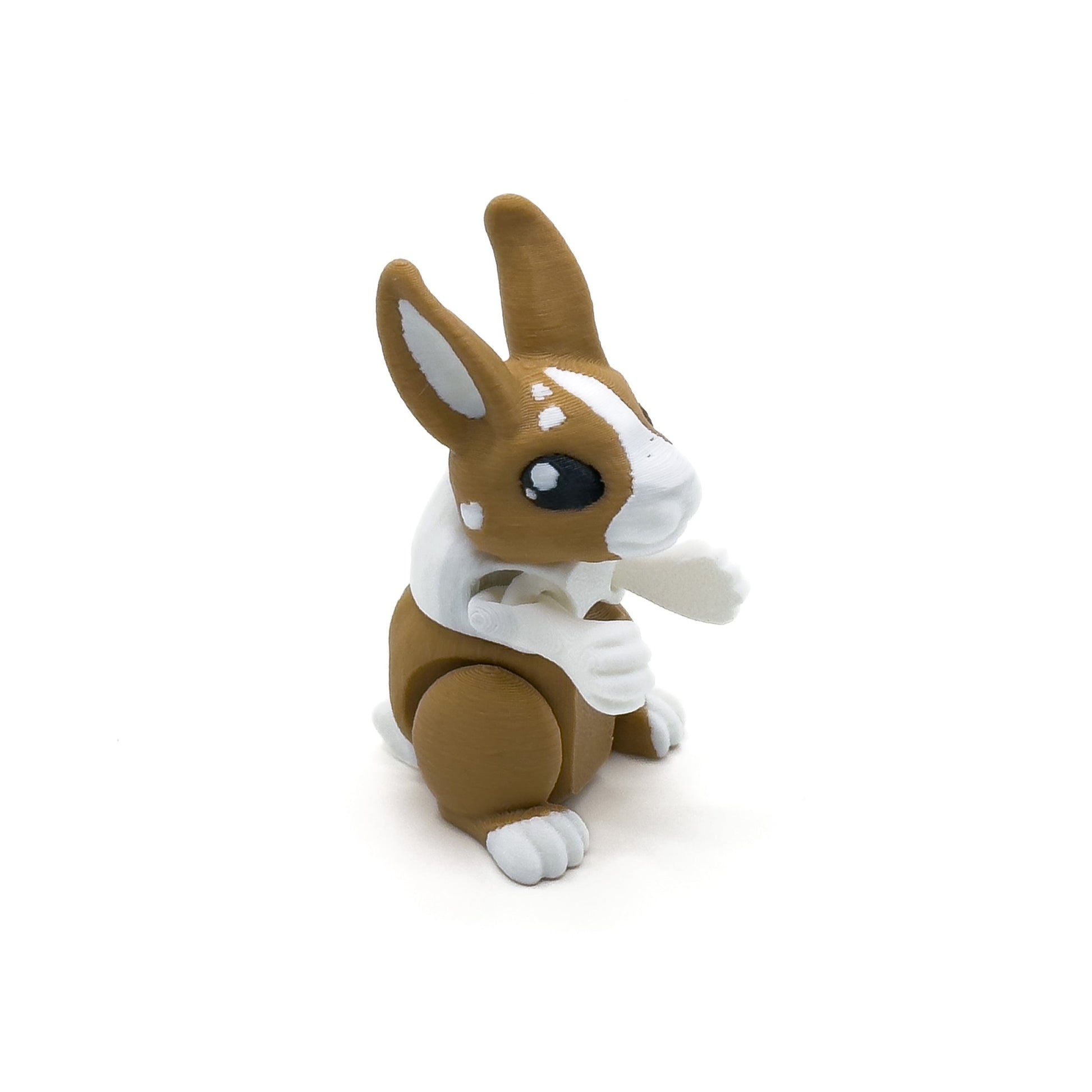 Brown/White Bunny Standing
